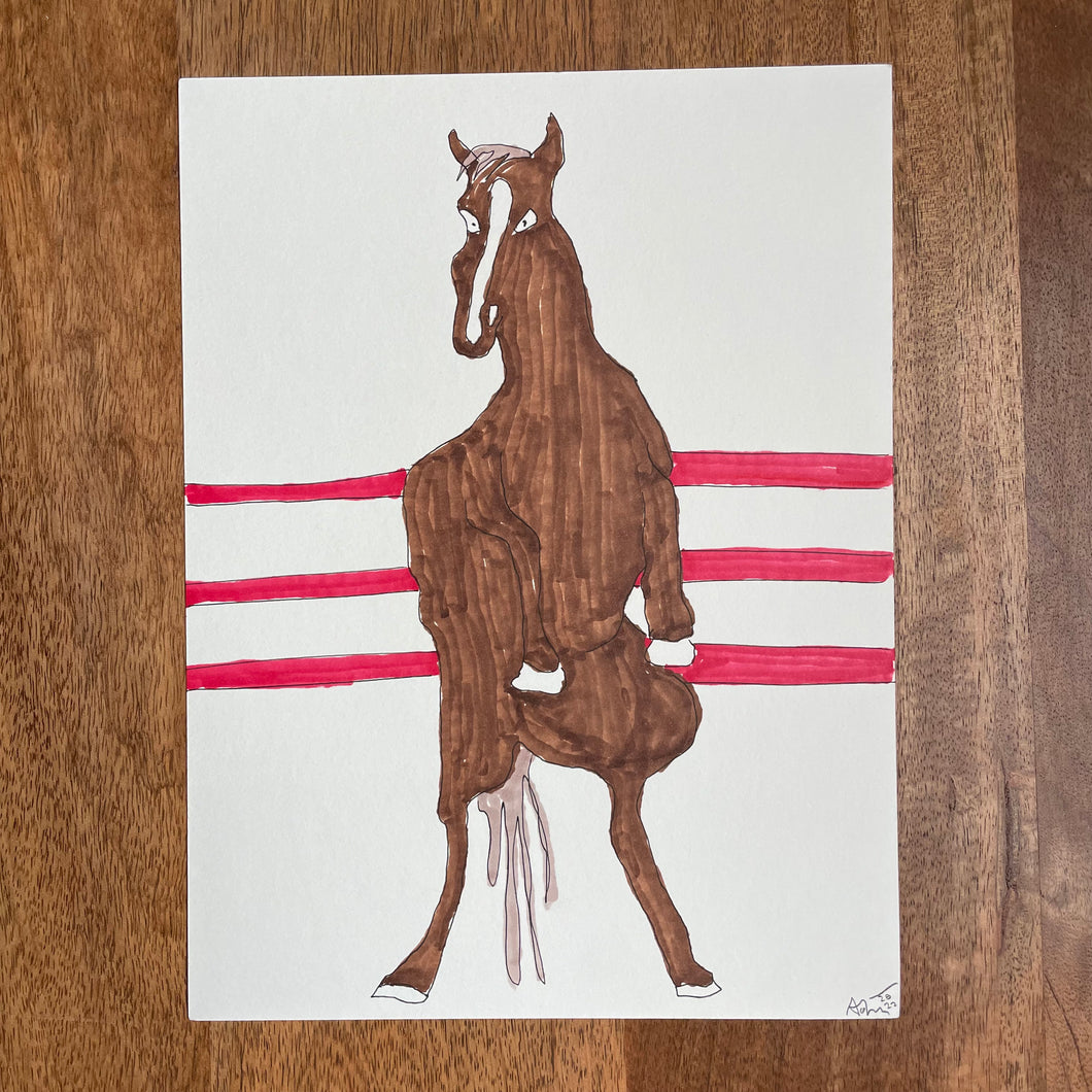 BOXING HORSE